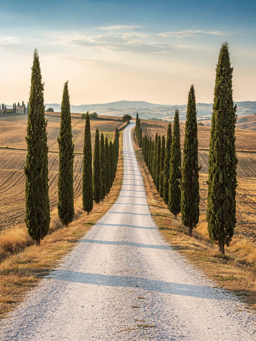 Classic winding white gravel road lined with stately cypress trees in Val d'Orcia